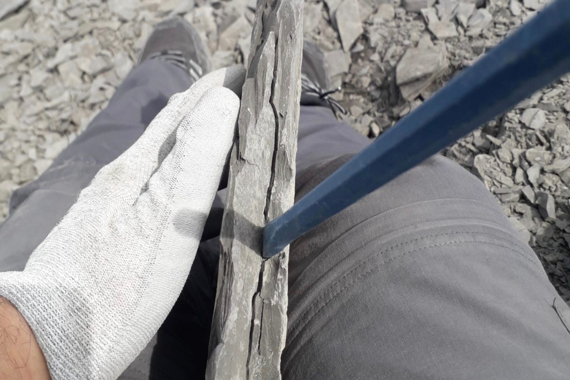 Voucher – Esperienza paleontologica in Germania (Holzmaden e Buttenheim) Paleobusiness