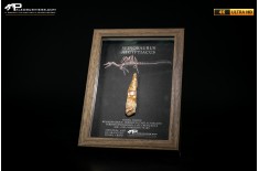 Dente fossile di Spinosaurus aegyptiacus  in cornice