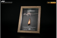 Dente fossile di Spinosaurus aegyptiacus  in cornice