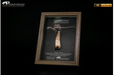 Dente fossile di Spinosaurus aegyptiacus  in cornice