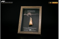 Dente fossile di Spinosaurus aegyptiacus  in cornice