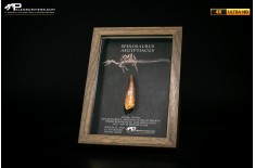 Dente fossile di Spinosaurus aegyptiacus  in cornice