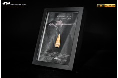 Dente fossile di Spinosaurus aegyptiacus  in cornice