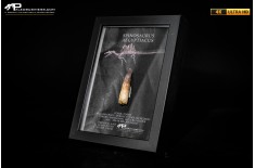 Dente fossile di Spinosaurus aegyptiacus  in cornice