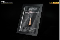 Dente fossile di Spinosaurus aegyptiacus  in cornice