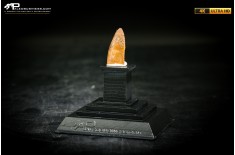 Dente fossile di dinosauro abelisauride