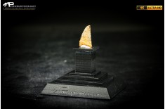 Dente fossile di dinosauro abelisauride