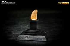 Dente fossile di dinosauro abelisauride