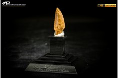 Dente fossile di dinosauro abelisauride