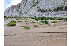 Esperienza paleontologica in Francia: Cap Blanc-Nez — 12–18 luglio 2027