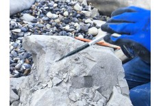 Esperienza paleontologica in Francia: Cap Blanc-Nez — 12–18 luglio 2027