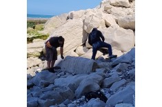 Esperienza paleontologica in Francia: Cap Blanc-Nez — 12–18 luglio 2027