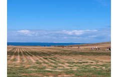 Esperienza paleontologica in Francia: Cap Blanc-Nez — 19–25 luglio 2027