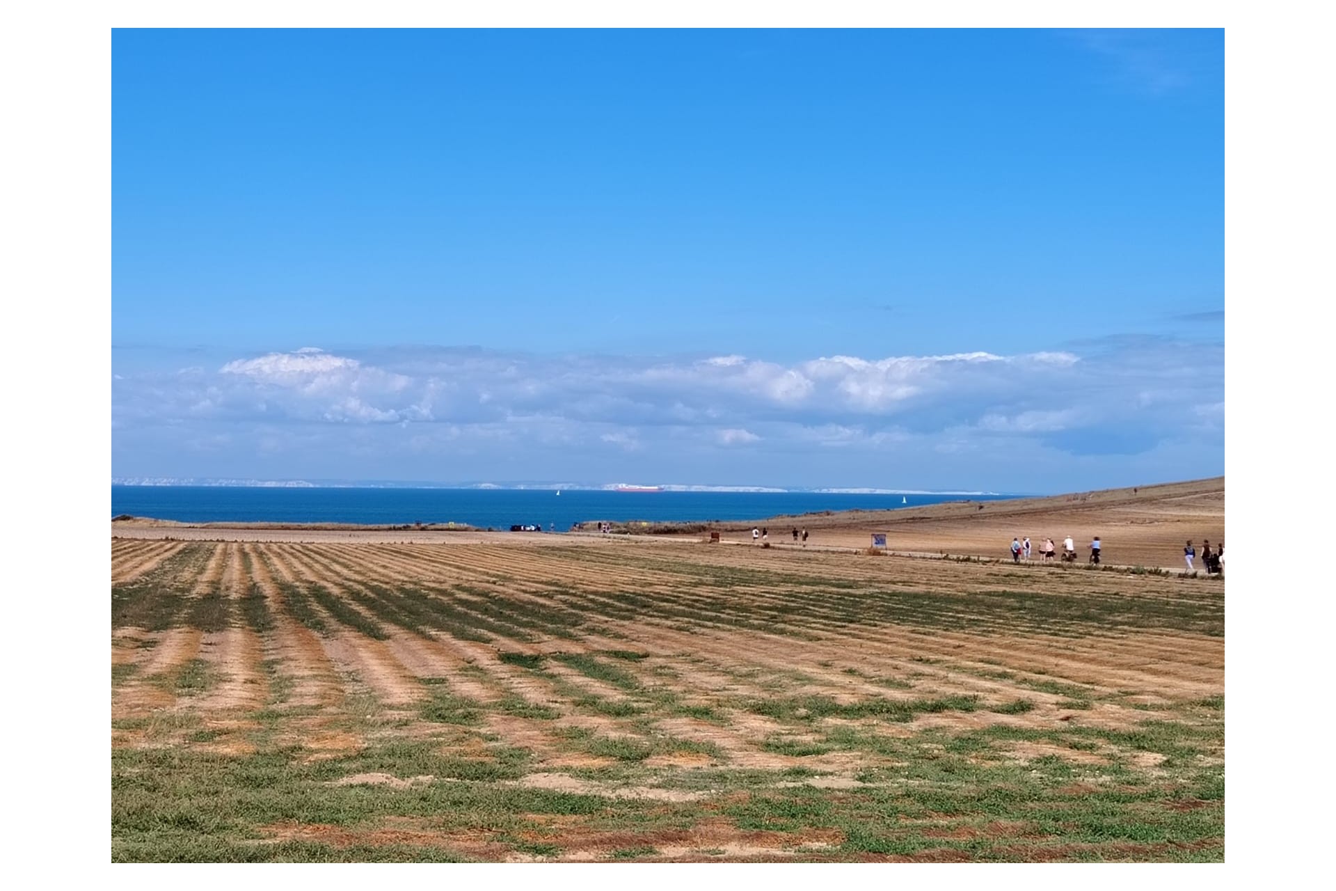 Esperienza paleontologica in Francia: Cap Blanc-Nez — 19–25 luglio 2027 Esperienza paleontologica in Francia: Cap Blanc-Nez — 19–25 luglio 2027