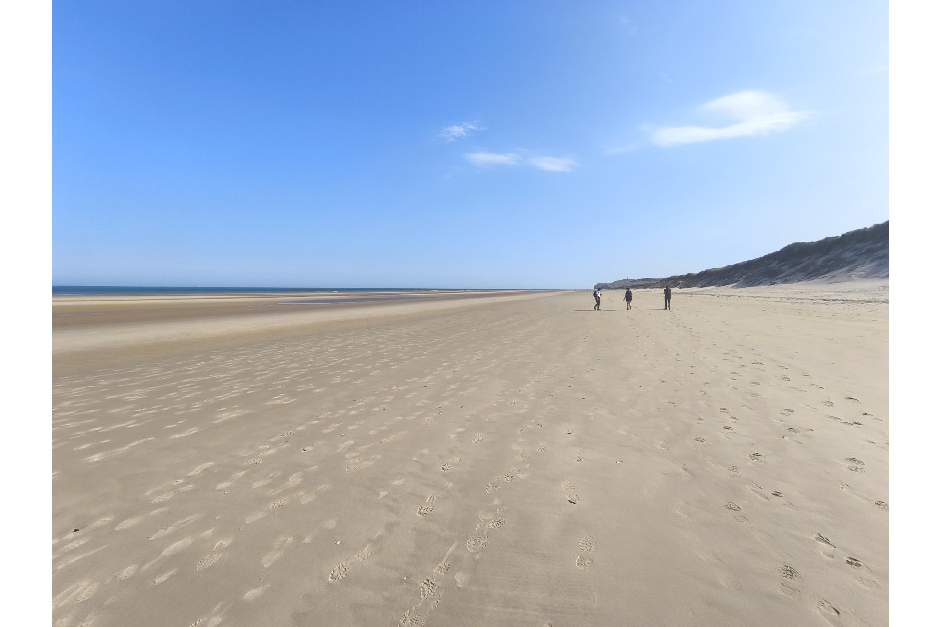 Esperienza paleontologica in Francia: Cap Blanc-Nez — 19–25 luglio 2027 Esperienza paleontologica in Francia: Cap Blanc-Nez — 19–25 luglio 2027
