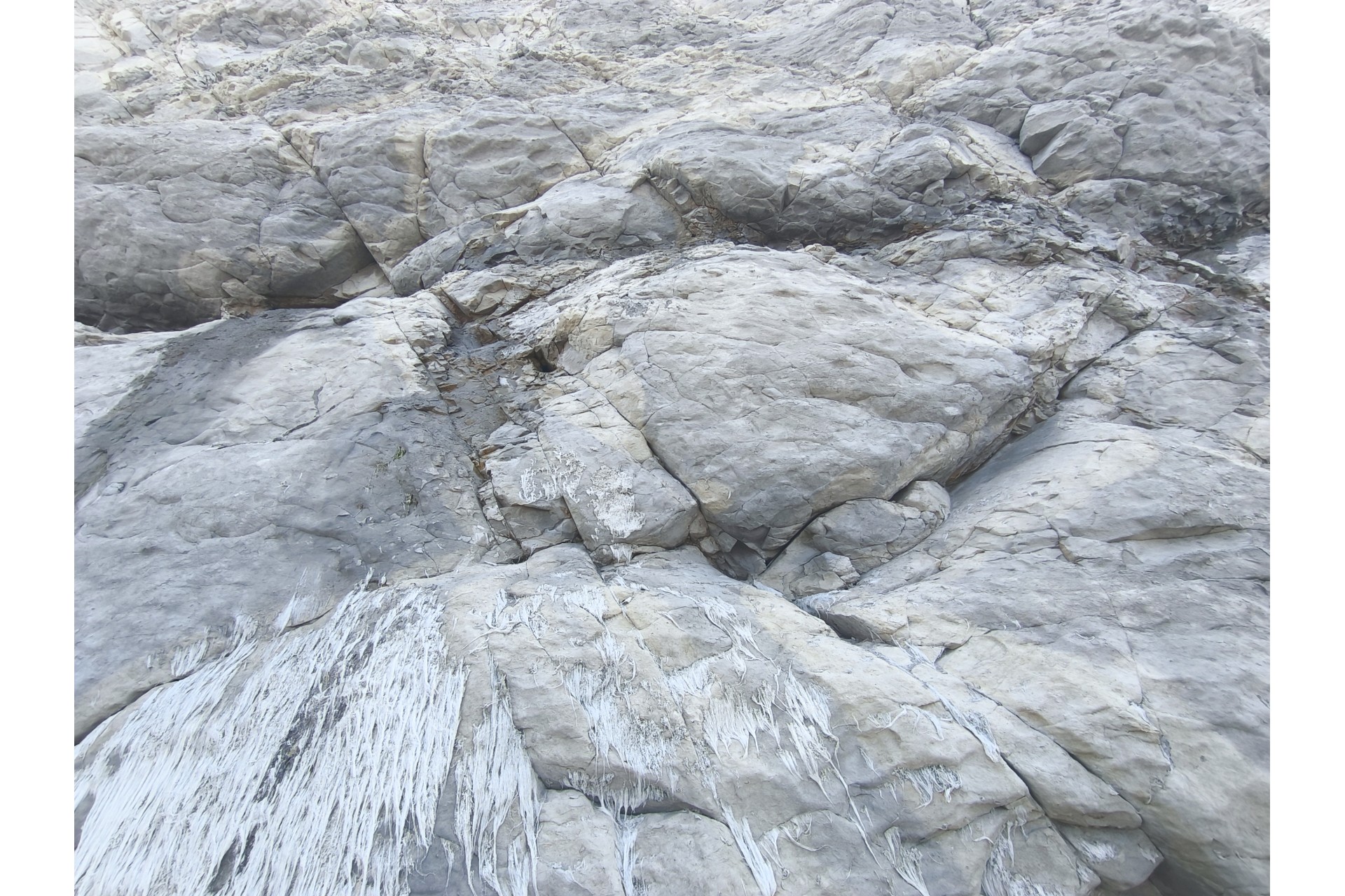 Esperienza paleontologica in Francia: Cap Blanc-Nez — 19–25 luglio 2027 Esperienza paleontologica in Francia: Cap Blanc-Nez — 19–25 luglio 2027