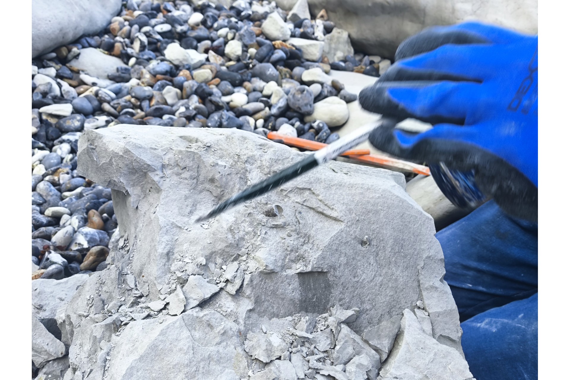 Esperienza paleontologica in Francia: Cap Blanc-Nez — 19–25 luglio 2027 Esperienza paleontologica in Francia: Cap Blanc-Nez — 19–25 luglio 2027