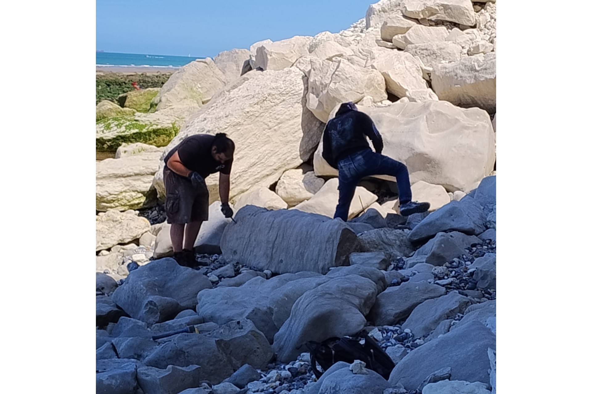 Esperienza paleontologica in Francia: Cap Blanc-Nez — 19–25 luglio 2027 Esperienza paleontologica in Francia: Cap Blanc-Nez — 19–25 luglio 2027