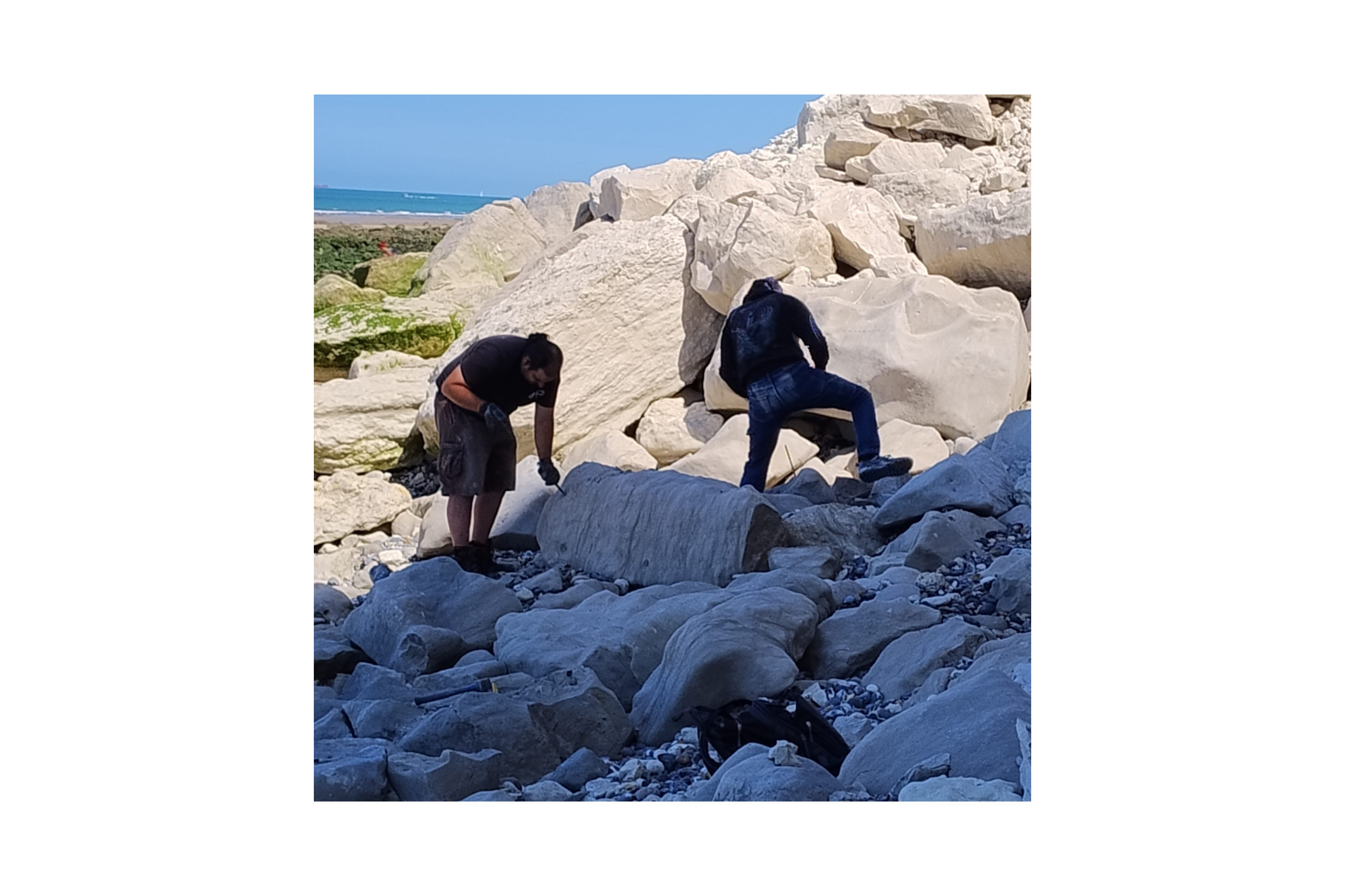Esperienza paleontologica in Francia: Cap Blanc-Nez — 19–25 luglio 2027