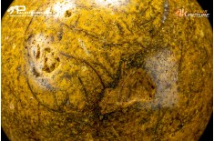 Sfera si calcite gialla
