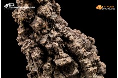 Coprolite fossile (ichnofossile)