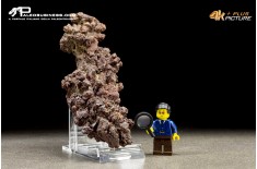 Coprolite fossile (ichnofossile)