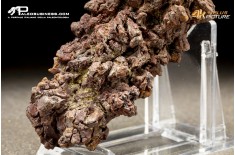 Coprolite fossile (ichnofossile)