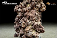 Coprolite fossile (ichnofossile)