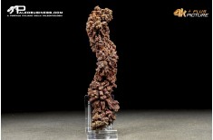 Coprolite fossile