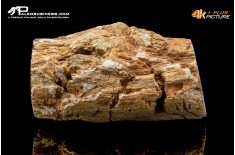 Legno fossile silicizzato (opale xiloide)
