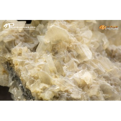 Cristallo di Gesso - Conformazione a Coda di Rondine