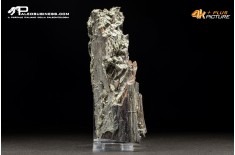 Legno fossile carbonizzato (Pleistocene)