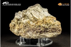 Muscovite