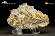 Muscovite