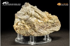 Muscovite