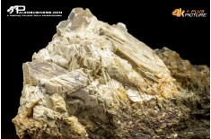 Muscovite