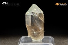 Quarzo fumè con Clorite