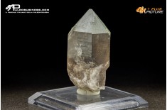 Quarzo fumè con Clorite