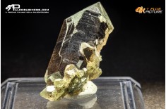 Quarzo Fumé con Clorite