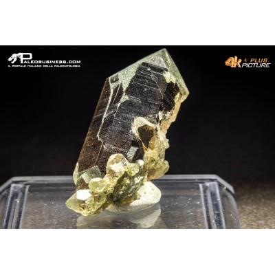 Quarzo Fumé con Clorite