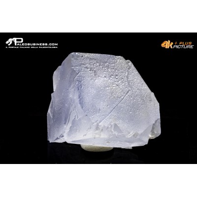 Fluorite ( El-Hammam)
