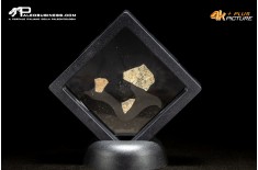 Frammento d’uovo di oviraptoride