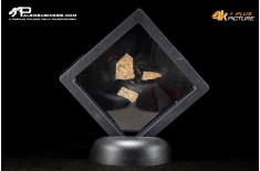 Frammento d’uovo di oviraptoride