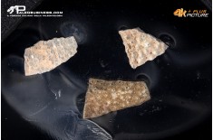 Frammento d'uovo di Oviraptor