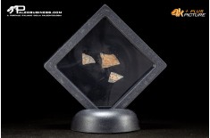 Frammento d’uovo di oviraptoride