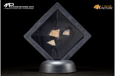 Frammento d’uovo di oviraptoride