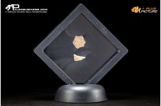 Frammento d’uovo di oviraptoride