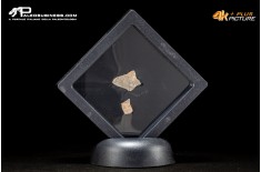Frammento d'uovo di Oviraptor