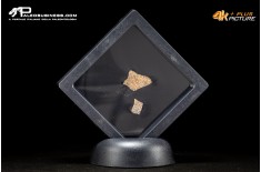 Frammento d'uovo di Oviraptor