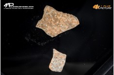 Frammento d'uovo di Oviraptor